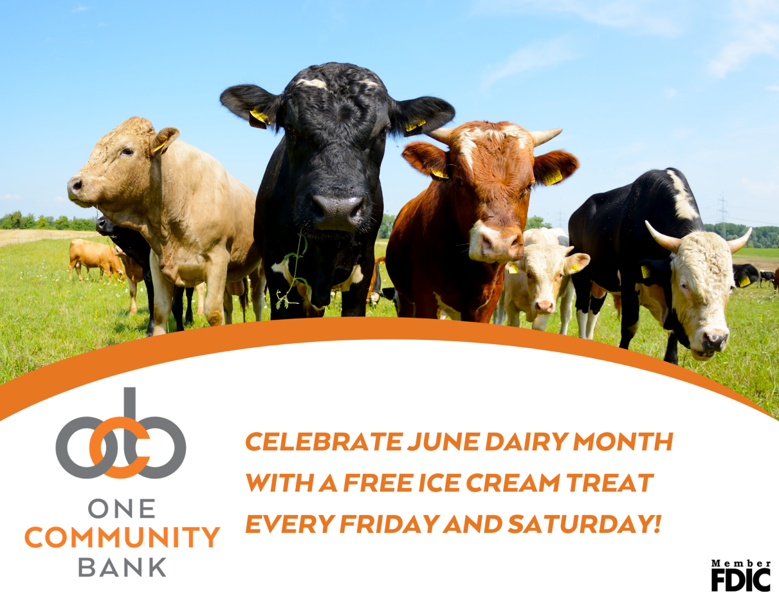 June Dairy Month Flyer